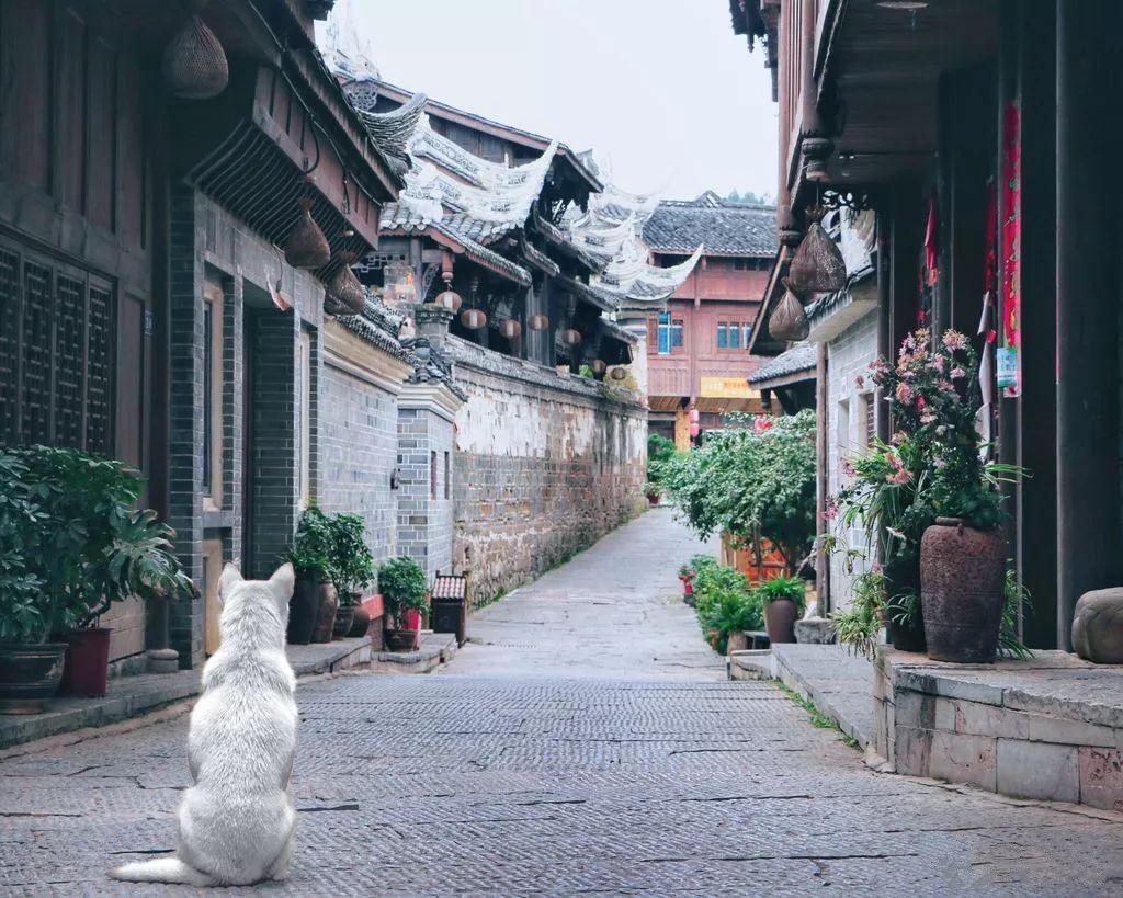 彩色夏天